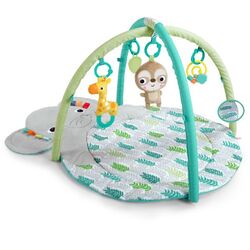 Bright Starts Hug n Cuddle Activity Gym, Grey