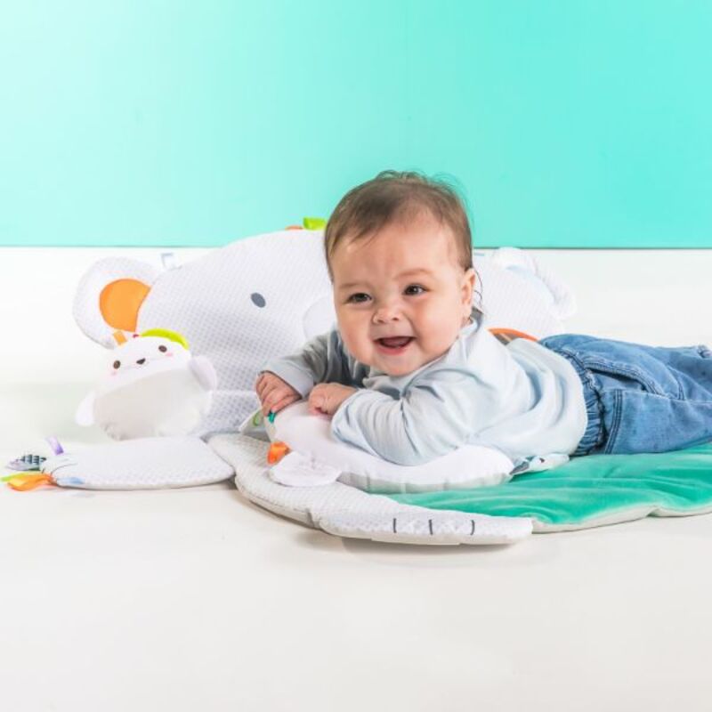 Bright Starts Tummy Time Prop & Play, Grey