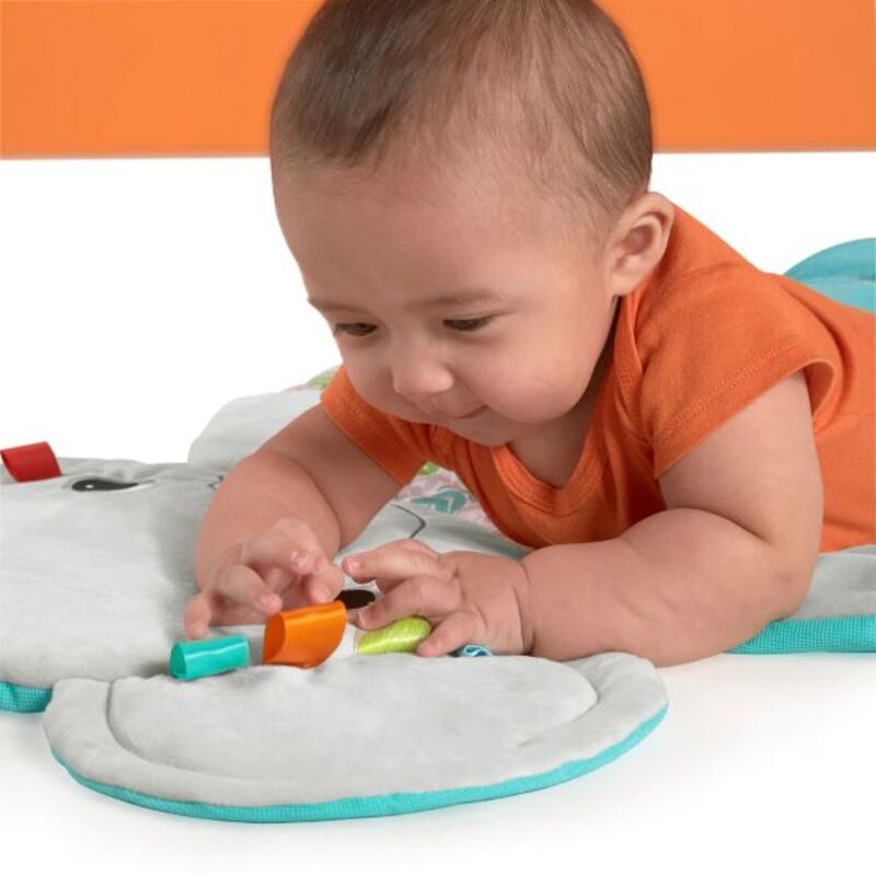 Bright Starts Hug n Cuddle Activity Gym, Grey