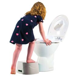 Diaper Champ Potty Training Seat - Grey