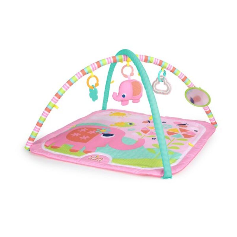 Bright Starts Fanciful Flowers Activity Gym, Pink