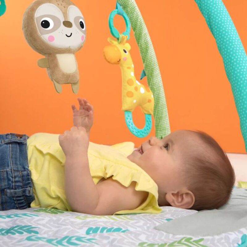 Bright Starts Hug n Cuddle Activity Gym, Grey