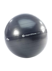 Merrithew Halo Trainer Stability Ball, 55cm, Grey