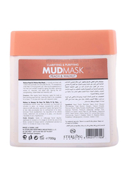 Bioluxe Peach & Walnut Mud Face Mask, 700gm