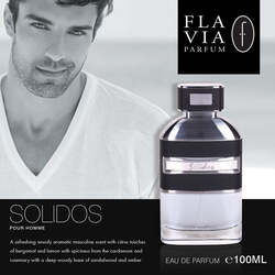 Flavia Solidos Pour Homme Eau De Parfum 100ml