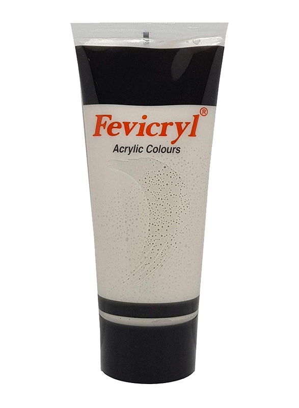 Fevicryl Acrylic Paint Color, 200ml, Silver AC24