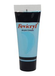 Fevicryl Acrylic Paint Color, 200ml, Sky Blue AC28