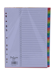 Deluxe Amt 49431 1-31 Plastic Divider, 10 Sets, A4 Size, Multicolor