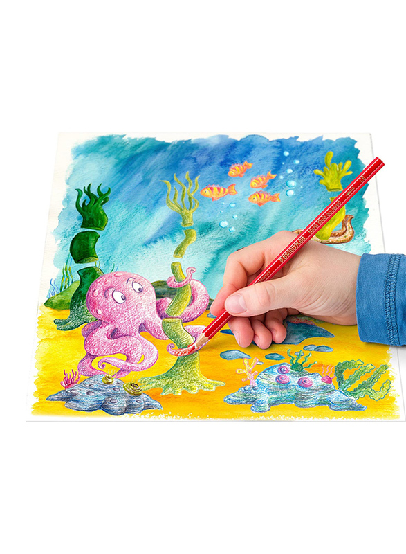 Staedtler 24-Piece Noris Club Aquarell Watercolour Pencils Plus Paint Brush, 144 10NC24, Multicolour