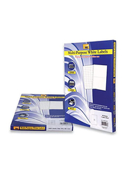 PSI Multipurpose Label, 210 x 148mm, 100 Sheets, White