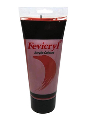 Fevicryl Acrylic Paint Color, 200ml, Burnt Sienna AC01 Red