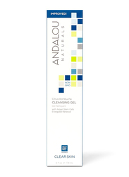 Andalou Naturals Citrus Kombucha Cleansing Gel, 178ml