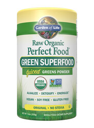 Garden of Life Raw Organic Perfect Food Green Superfood Powder Whole Food Dietary Supplement, 209gm