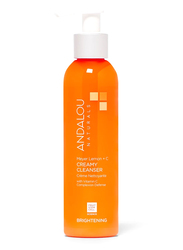 Andalou Naturals Meyer Lemon + C Brightening Creamy Cleanser, 178ml