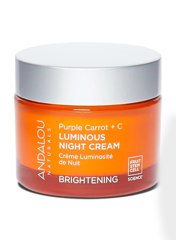 Andalou Naturals Brightening Purple Carrot + C Luminous Night Cream, 50ml