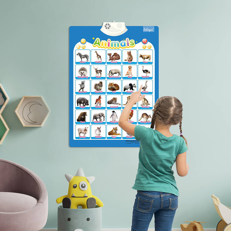 Animal Interactive Poster, Ages 2+