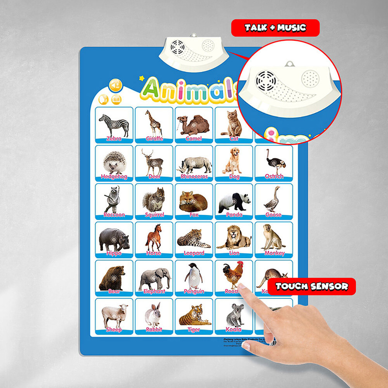 Animal Interactive Poster, Ages 2+