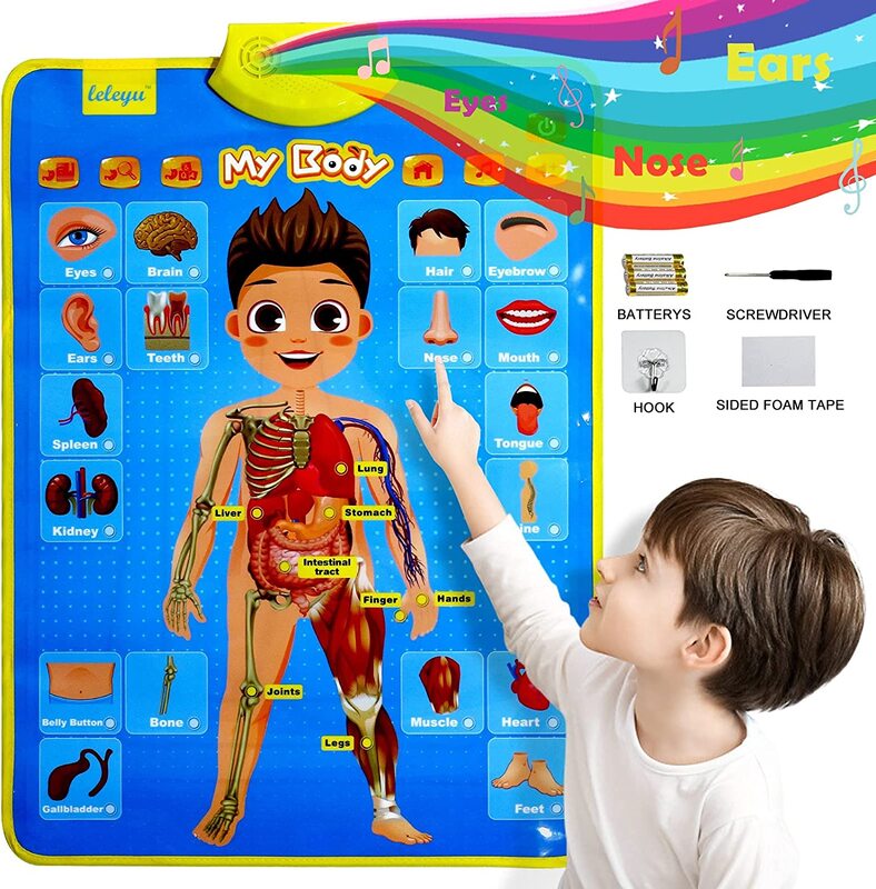 

UKR Talking Poster-My Body Learning Toys