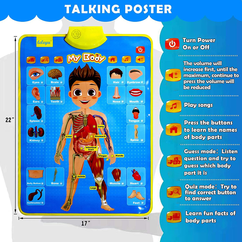 UKR Talking Poster-My Body Learning Toys