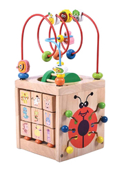 Activity Cube Lady Bug