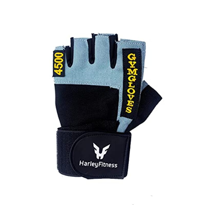 Harley Fitness Combat Sports Sparring & Training Gloves, Medium, Blue