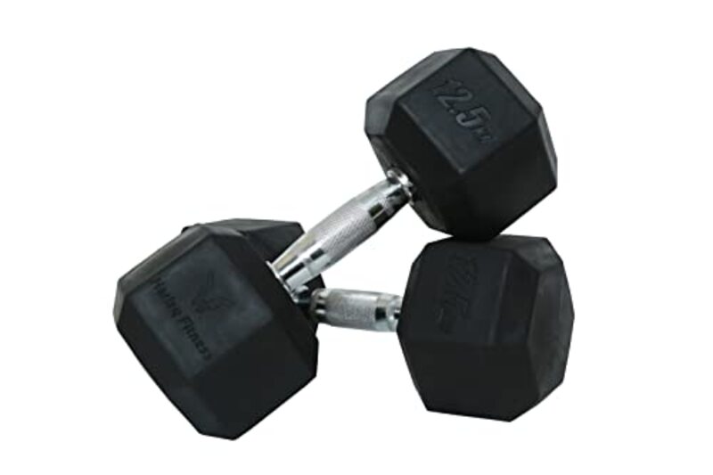 Harley Fitness Stainless Steel Rubber Coated Hexagon Dumbbells, 12.5 KG, Black