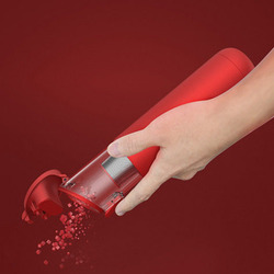 Autobot Mini Portable Handheld Vacuum Cleaner, 100ml, RST1072, Red