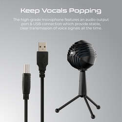 Sphere High Sensitivity Professional Digital Recording Microphone