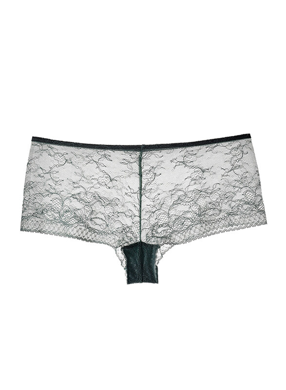 

Lacy Dreams Comfortable Lace Brief, Small, Blue