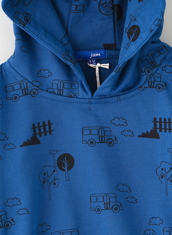 Jam Knit Hooded Printed Sweat Top for Boys, 18-24 Months, Blue