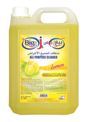 Mr. Bigg J All Purpose Cleaner, 5 Litres