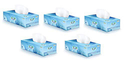 Al Ain Facial Tissues, 150 Sheets x 2 Ply, Pack of 5 Boxes