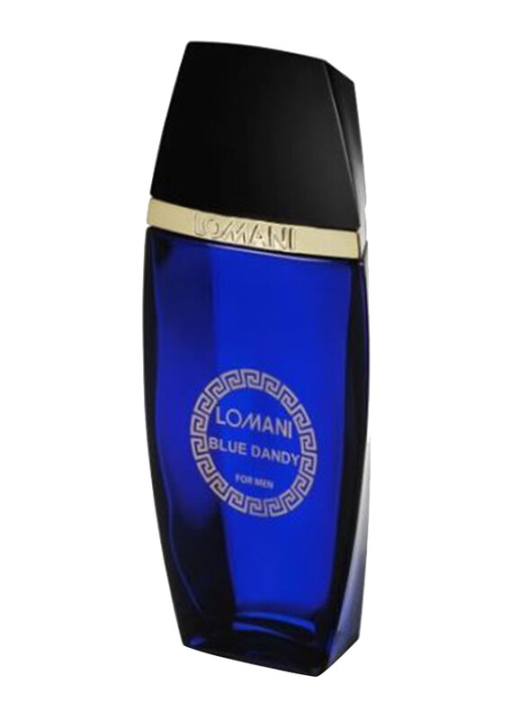 

Lomani Blue Dandy 100ml EDT Perfume for Men