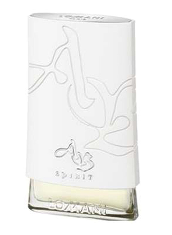 

Lomani AB Spirit Silver 100ml EDT Perfume for Men