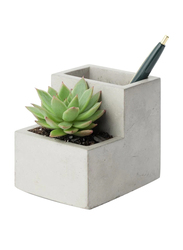 Kikkerland Concrete Small Planter and Pen Holder, White