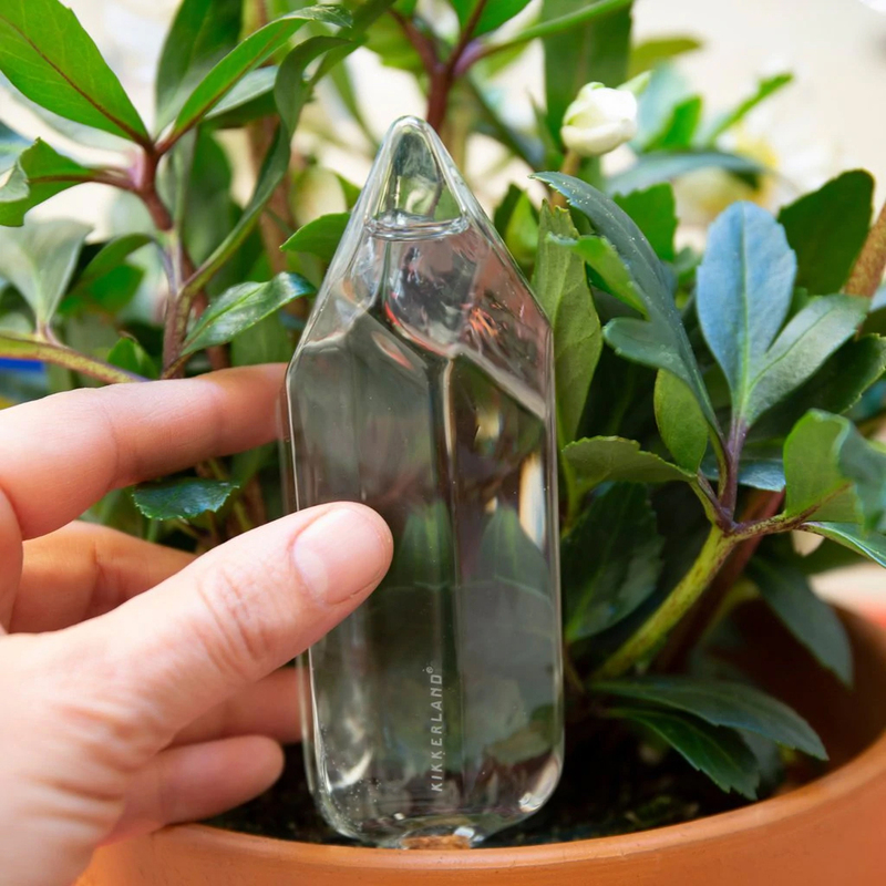 Kikkerland Water From a Crystal Self Watering Glass Container for Plants, Clear