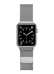 Casetify Stainless Steel Band for Apple Watch All Series 42mm, Silver