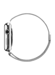 Casetify Stainless Steel Band for Apple Watch All Series 42mm, Silver