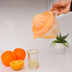Royalford Citrus Juicer, Orange