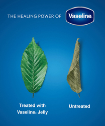 Vaseline Original Healing Petroleum Jelly, 100ml