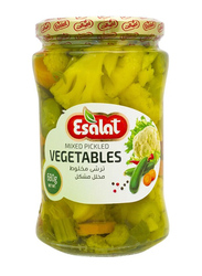 Esalat Mixed Vegetable Pickles, 680gm