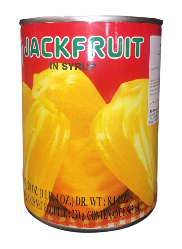 

Tas Jackfruit in Syrup, 565gm