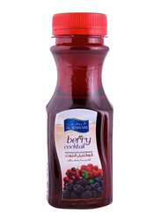 Al Rawabi Berry Cocktail Juice, 200ml
