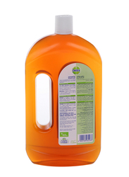 Dettol Antibacterial & Antiseptic Liquid Disinfectant, 1 Litre