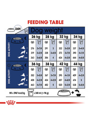 Royal Canin Size Health Nutrition Maxi Adult Dog Dry Food, 10 Kg