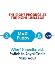 Royal Canin Size Health Nutrition Maxi Puppy Dog Dry Food, 15 Kg