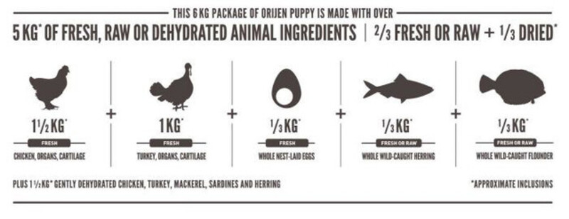 Orijen Puppy Dog Dry Food, 11.2 Kg