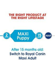 Royal Canin Size Health Nutrition Maxi Puppy Dog Dry Food, 10 Kg