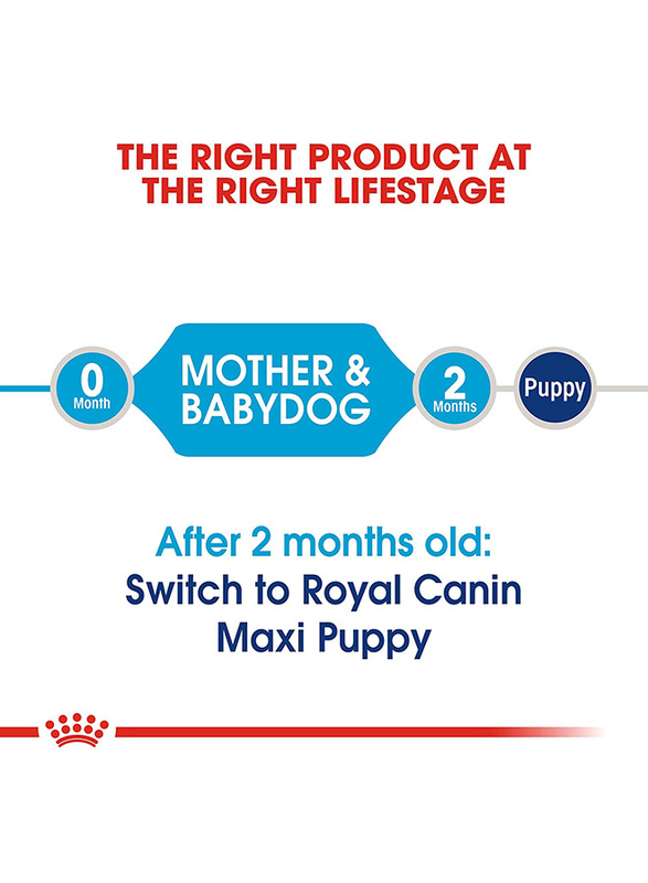 Royal Canin Maxi Starter Mother & Baby Dog Dry Food, 15 Kg