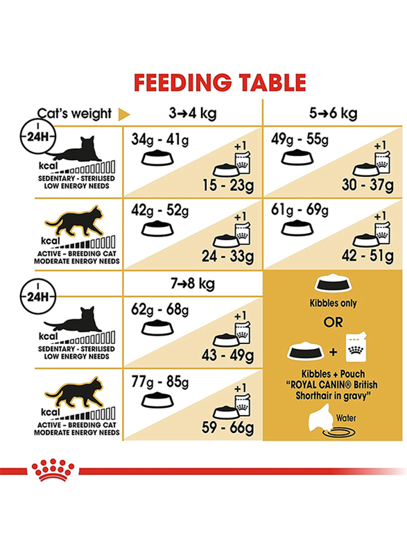 رويال كانين طعام جاف للتغذية للقطط البريطانية شورت هير, 4 كغ